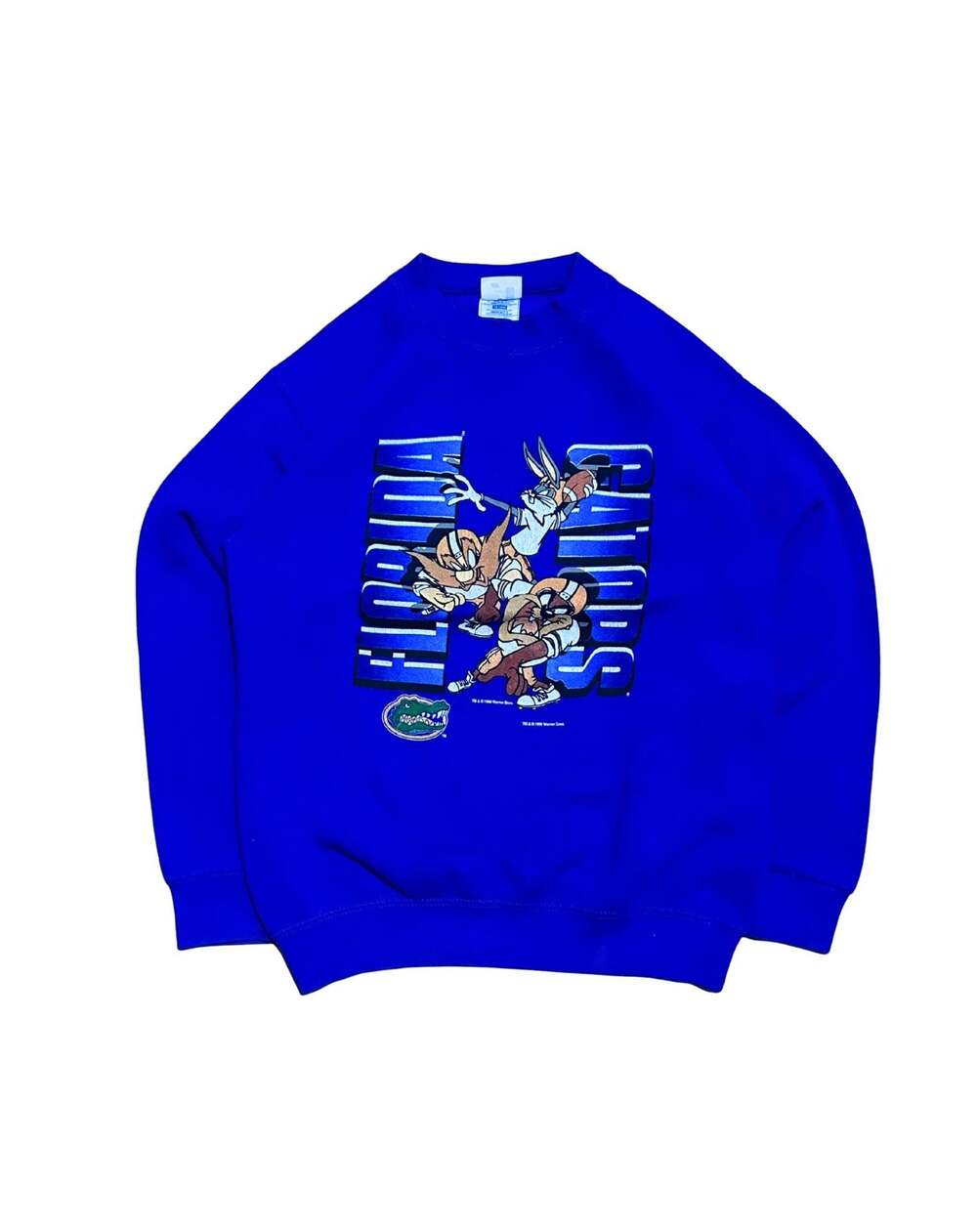 Vintage 1996 Florida Gators Looney Tunes Sweatshirt